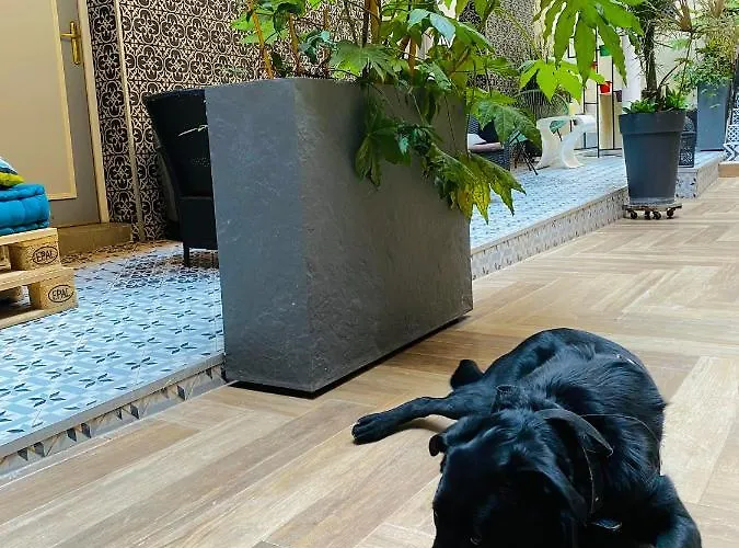 クレールフォンテーヌ ホテル 3*